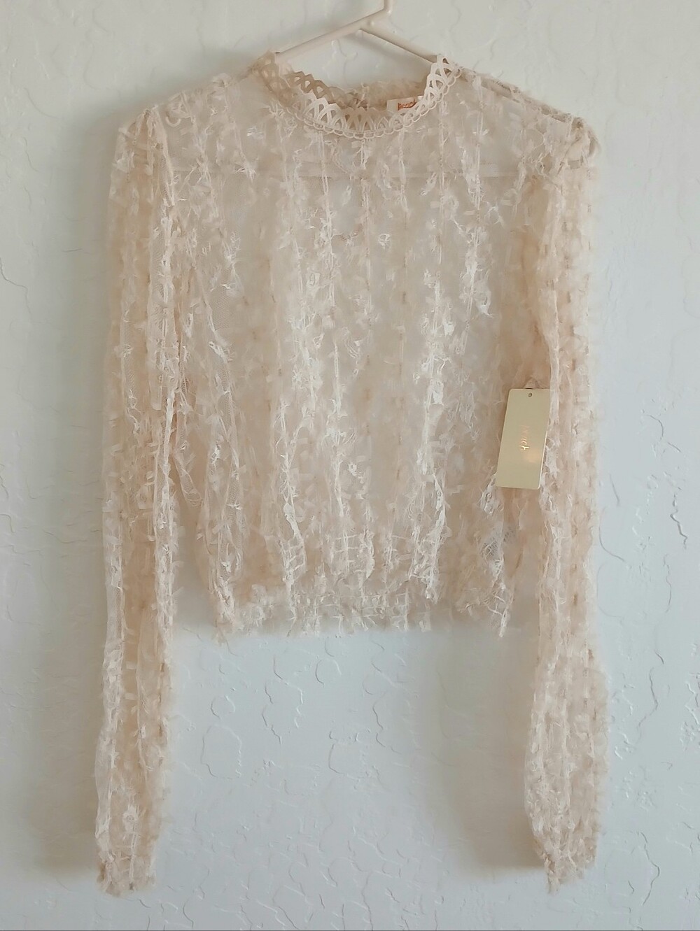 NEW PEACH Sheer Lace Whimsigoth Vitorian Long Sleeve Top L High Neck Gathered